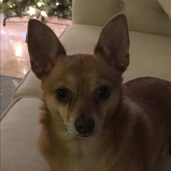 Meet your Posher, Vickie - Picture 1 of 1